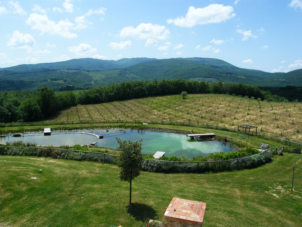 Fattoria San Paolo Agriturismo Montecastelli Pisano 외부 사진